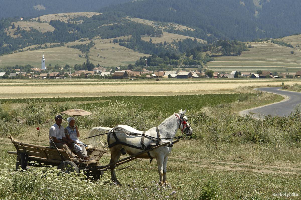 &bullet;  Fotó: Kristó Róbert