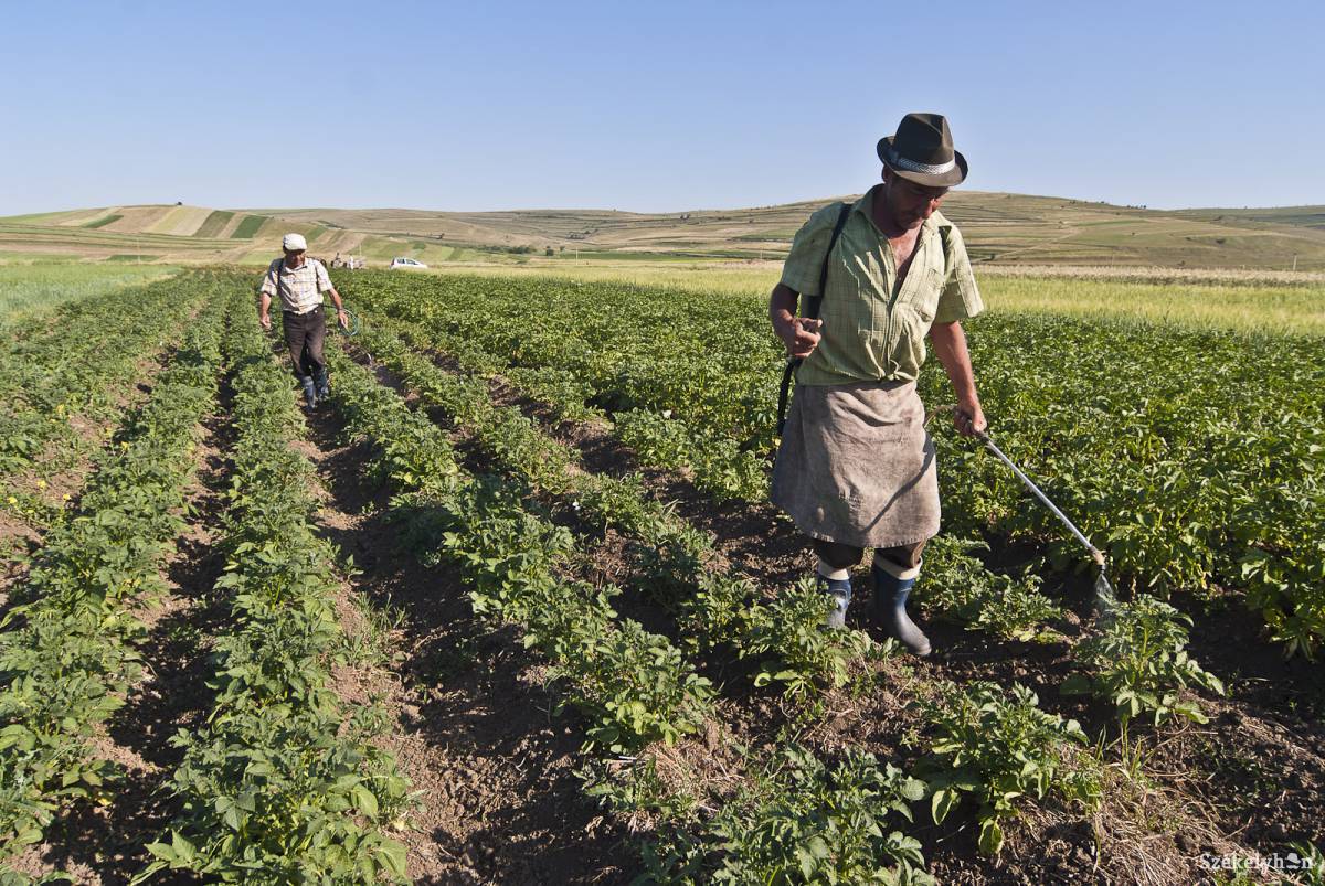&bullet;  Fotó: Veres Nándor