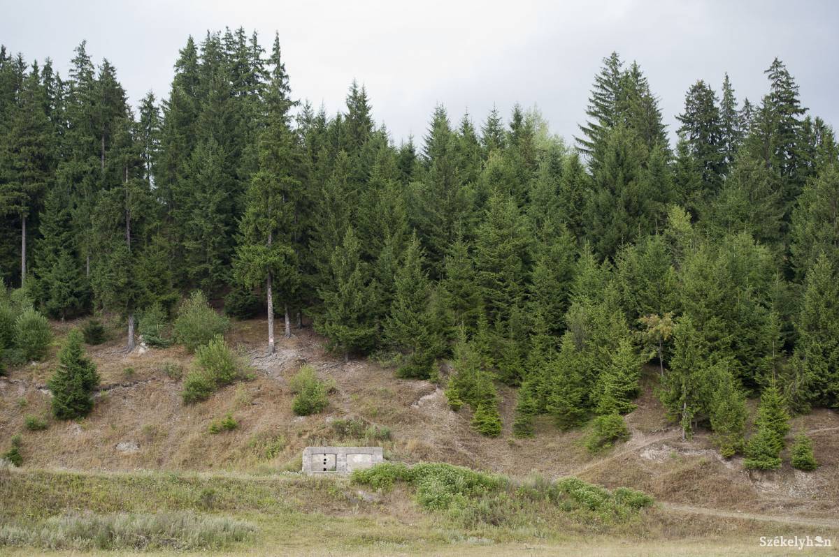 &bullet;  Fotó: Kristó Róbert