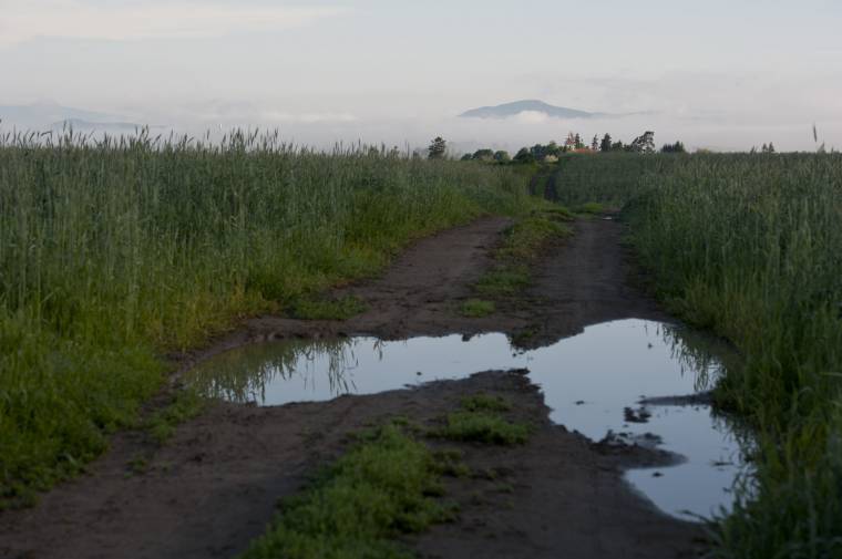 Az átlagosnál több volt a csapadék