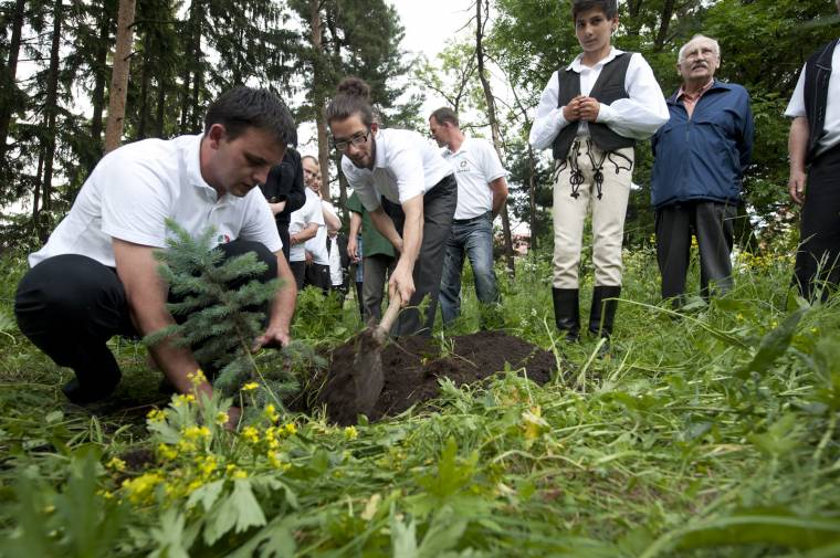 Csemeteültetéssel emlékezett a Néppárt