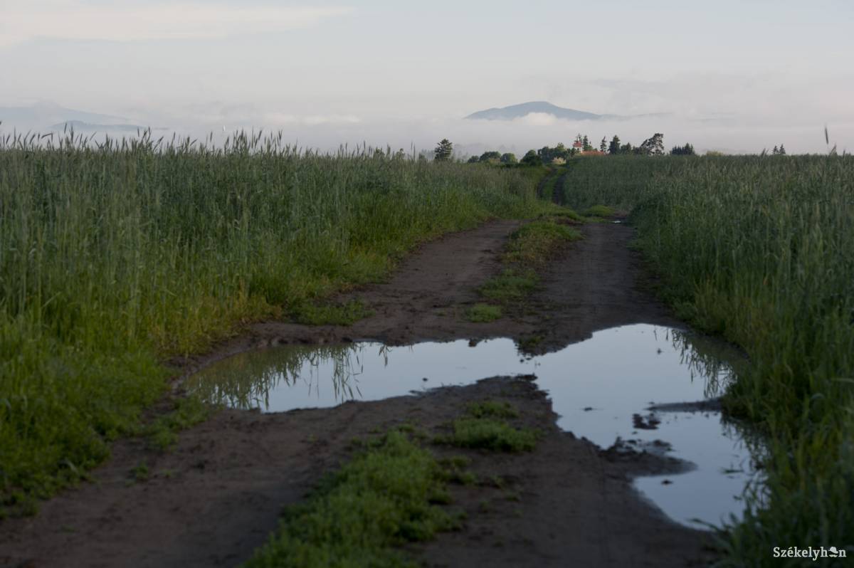&bullet;  Fotó: Kristó Róbert