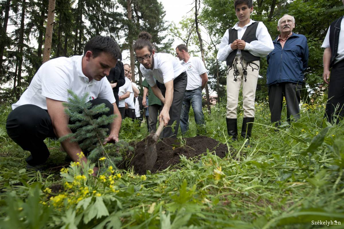 &bullet;  Fotó: Kristó Róbert