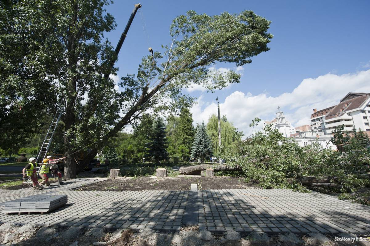 &bullet;  Fotó: Kristó Róbert