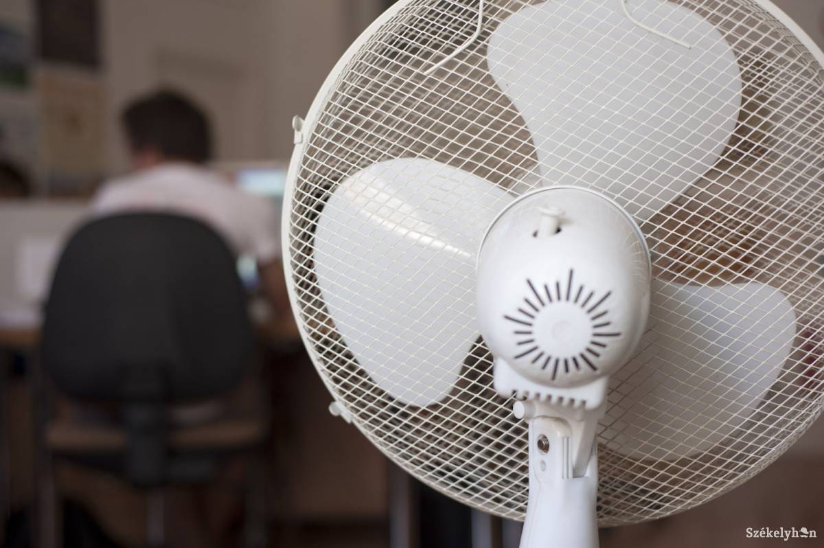 &bullet;  Fotó: Kristó Róbert