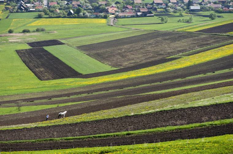 Csíkban várhatók ellenőrzések