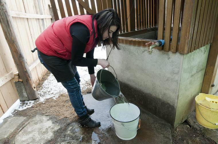 Elfagyott vízvezetékek: tavaszig a kútra járnak