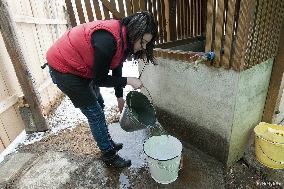 &bullet;  Fotó: Kristó Róbert