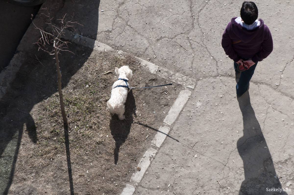 • Fotó: Kristó Róbert