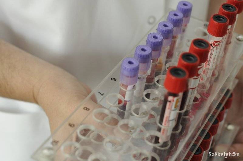 &bullet;  Fotó: Kristó Róbert