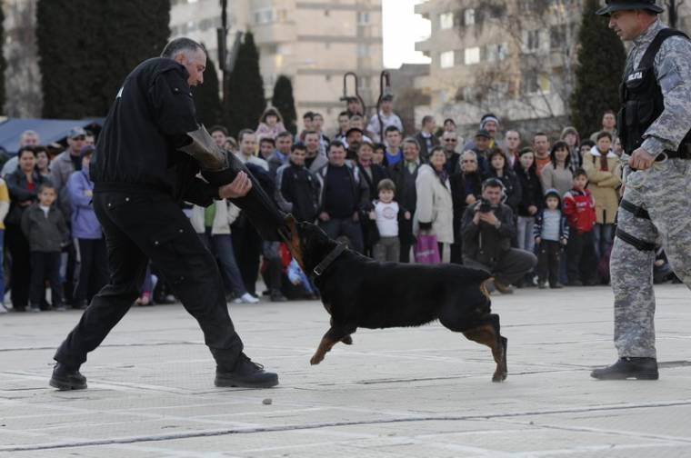 Gyermeknapra készülnek a rendőrök
