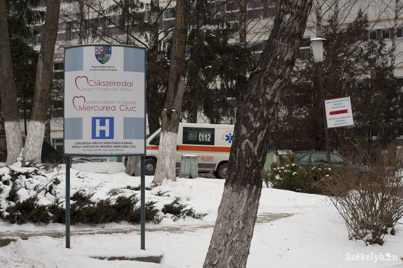 • Fotó: Kristó Róbert