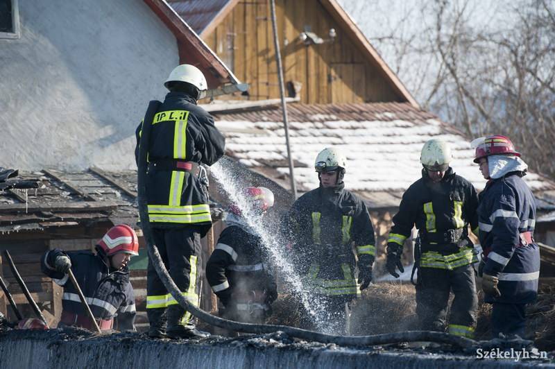 • Fotó: Kristó Róbert