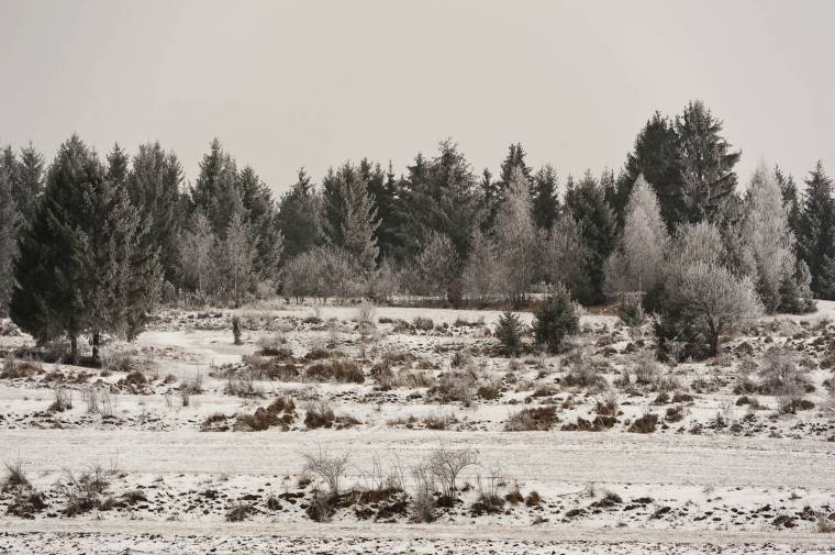 Tetemes kár érte a közbirtokosságokat