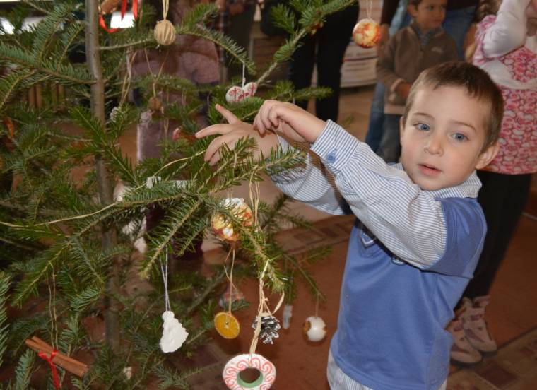 Díszbe öltöztetett fenyők a megyeházán