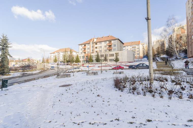 Medvét láttak Csíkszeredában