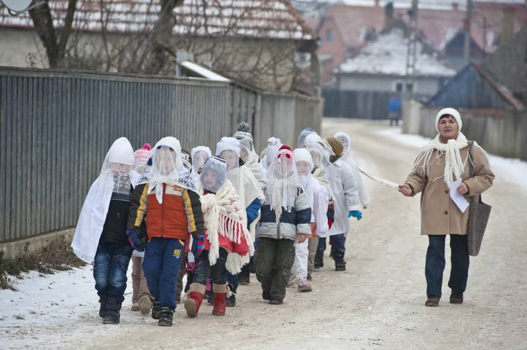 Lucázás: életben tartott hagyomány