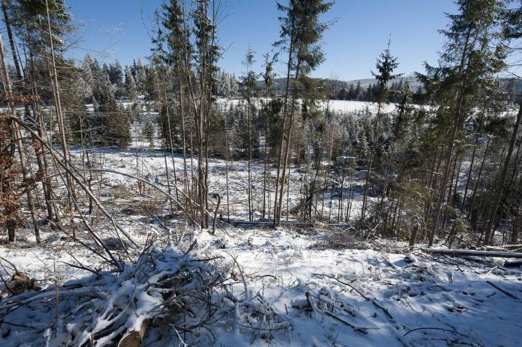 Még nyomoznak a Csíki Lázon történt tarvágás miatt