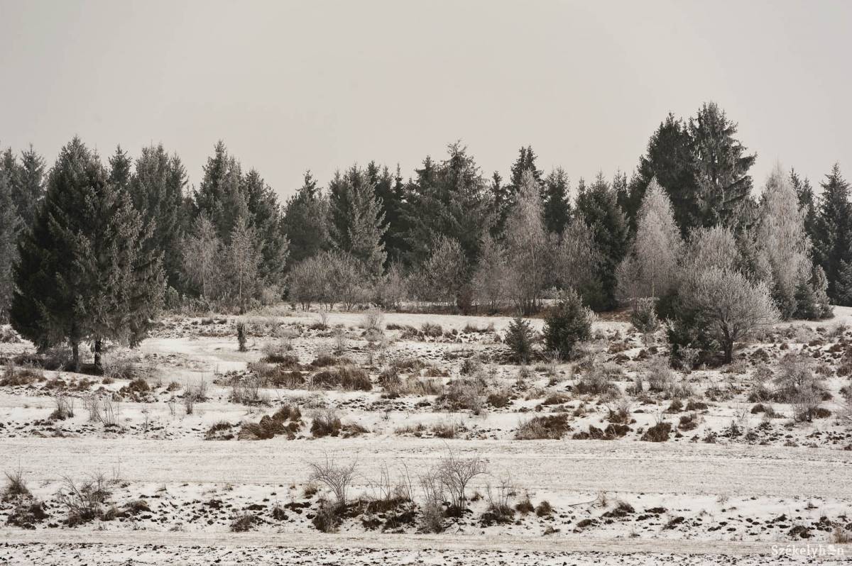 &bullet;  Fotó: Kristó Róbert