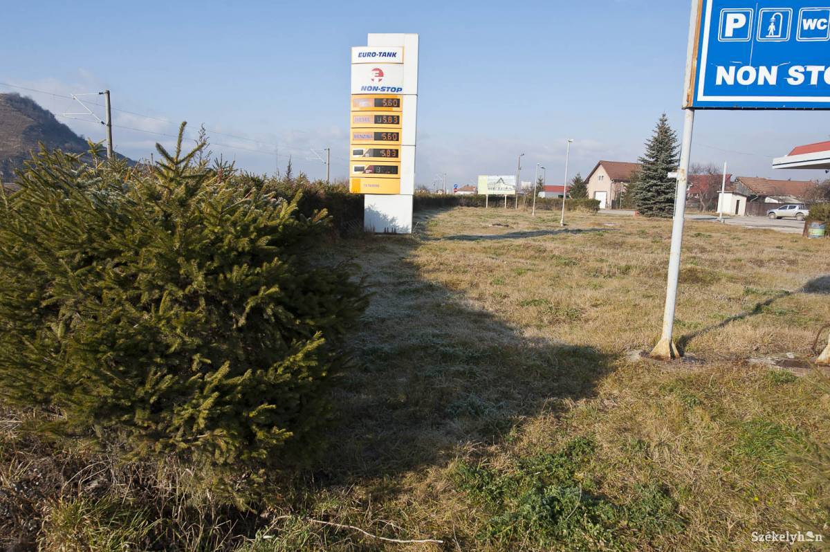 • Fotó: Kristó Róbert