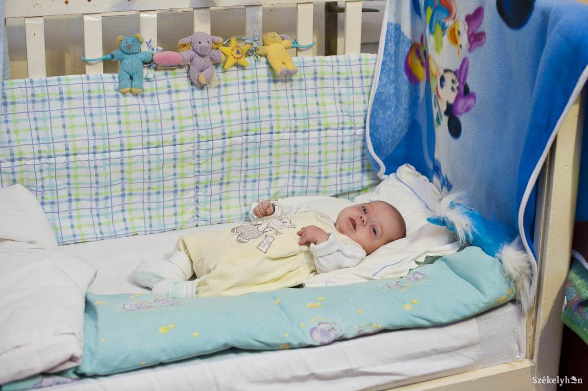 • Fotó: Kristó Róbert