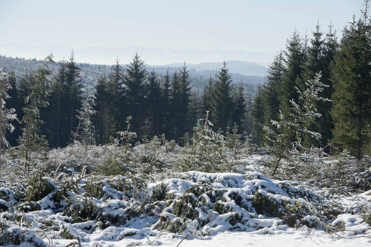 &bullet;  Fotó: Kristó Róbert