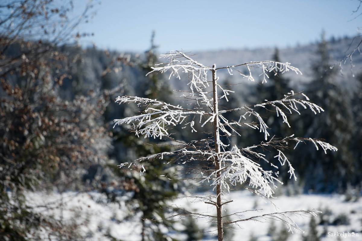 • Fotó: Kristó Róbert