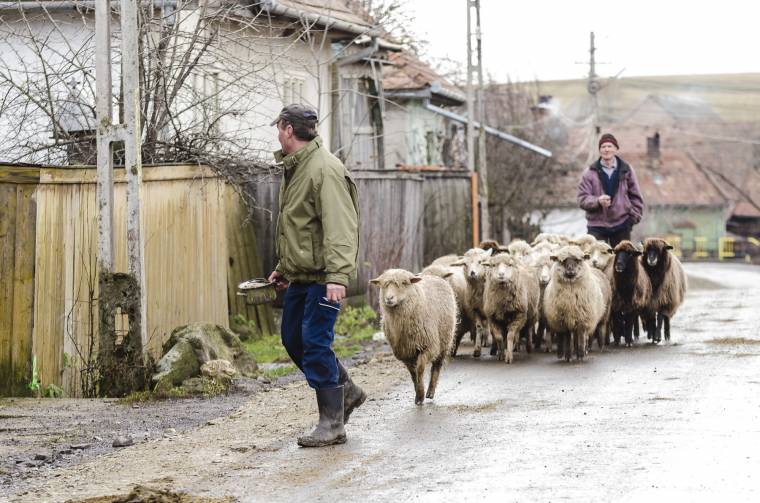 Katalin-napi juhelszedés