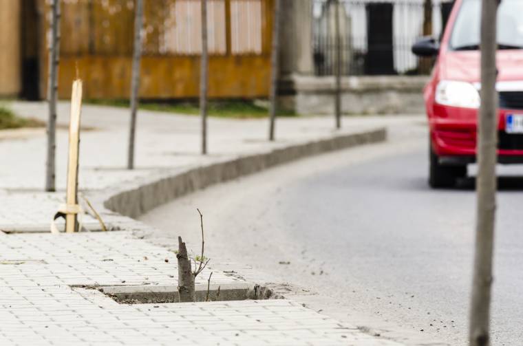 Fákat törtek ketté Csíkszeredában