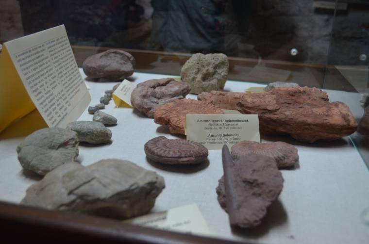 Évmilliók üzenete – kőzetkiállítás Csíkszeredában