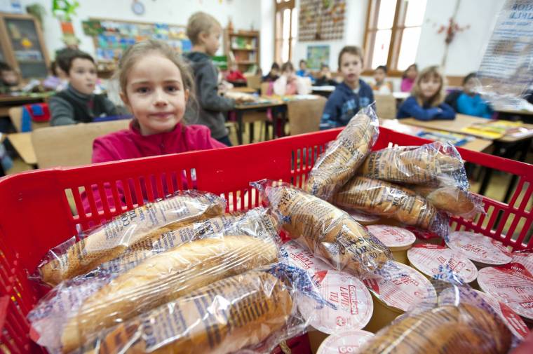 Beszállítók jelentkezését várják a tej-kifli programba