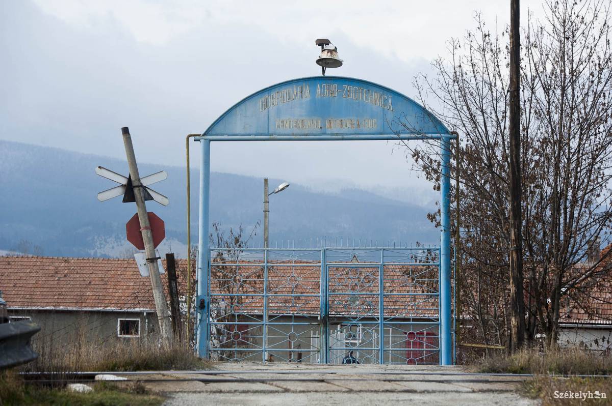 &bullet;  Fotó: Kristó Róbert