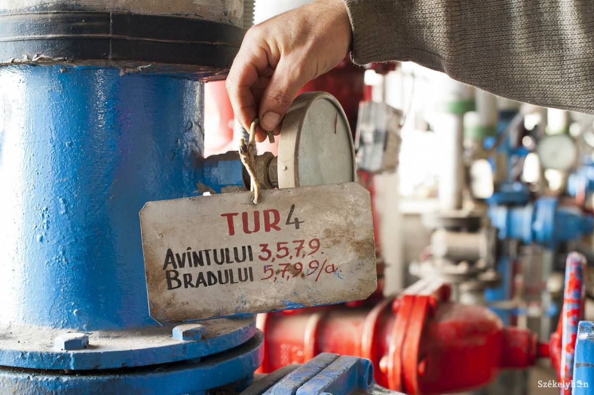 • Fotó: Kristó Róbert