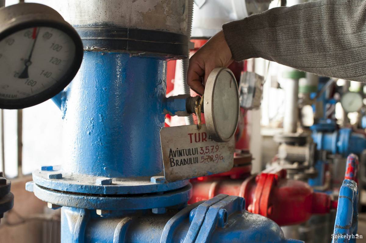 • Fotó: Kristó Róbert