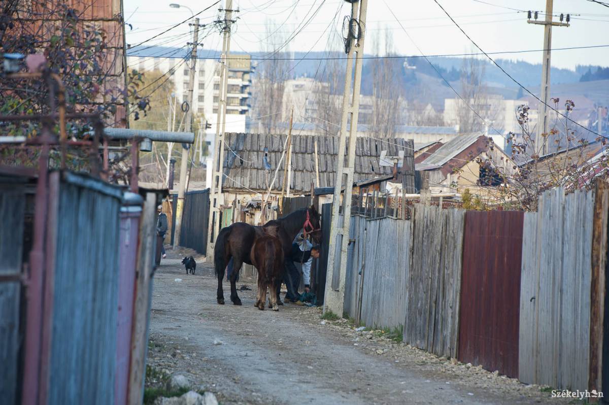 A Tavasz utcai romatelep képviselője szerint közösségük tagjai nem támadnának taxisokra. Archív •  Fotó: Kristó Róbert