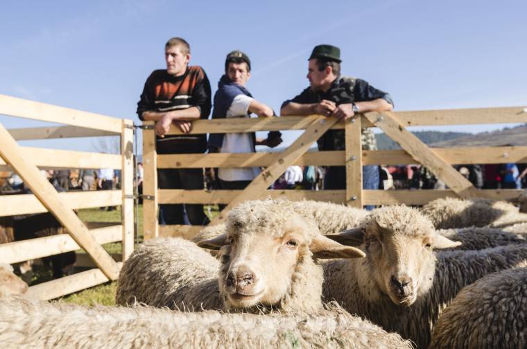 Sajtmustrával és -versennyel bővül a Gazdanap