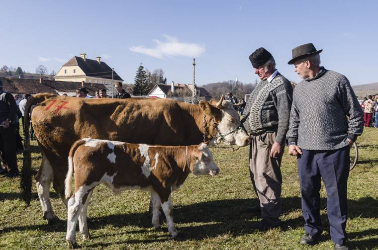 Gyergyószék gazdáit várják Újfaluba