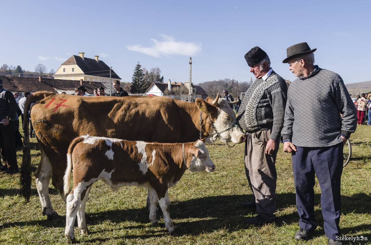 • Fotó: Veres Nándor