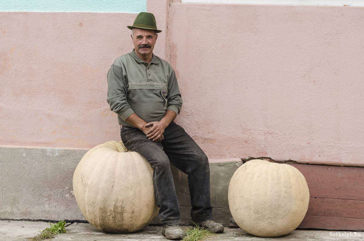 •  Fotó: Veres Nándor