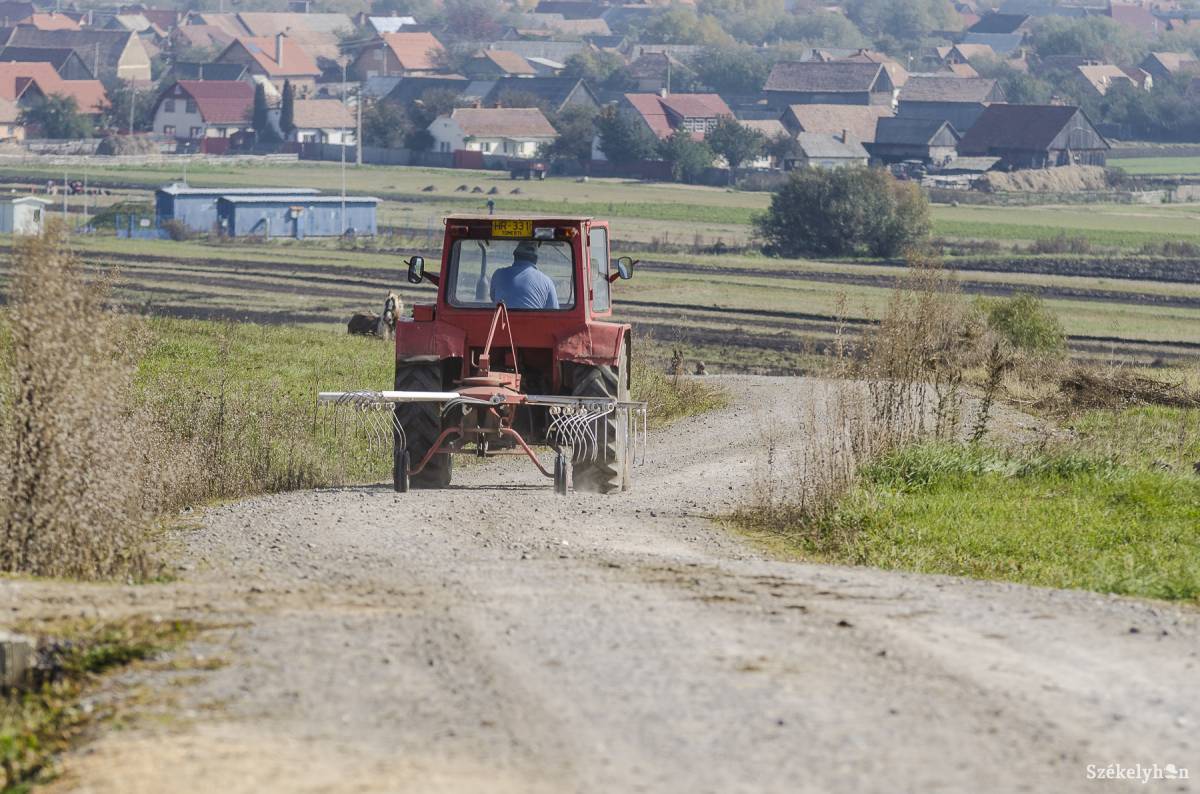 •  Fotó: Veres Nándor