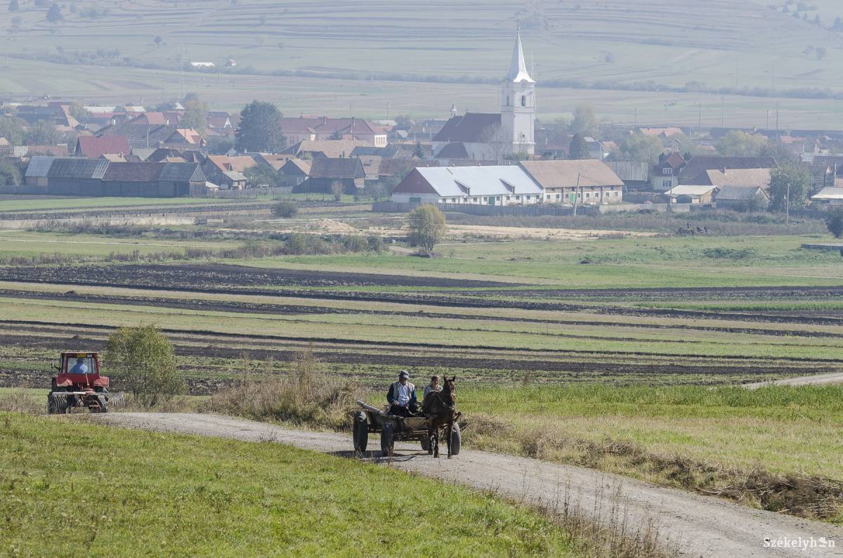 A csíkszenttamási gazdák számára fontos útvonalról van szó. Archív •  Fotó: Veres Nándor