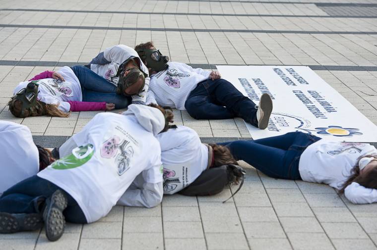 Flashmob a tiszta levegőért