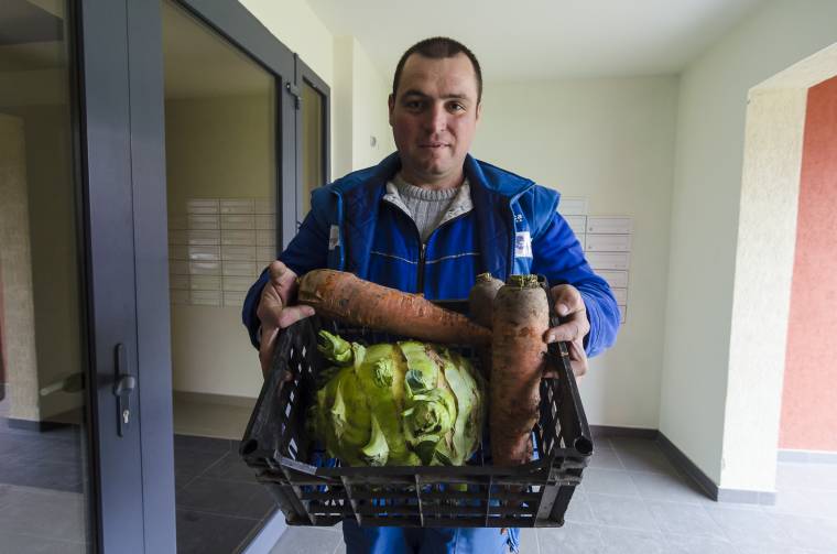Óriászöldségek teremtek Csíkkozmáson