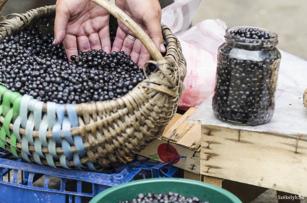 • Fotó: Veres Nándor