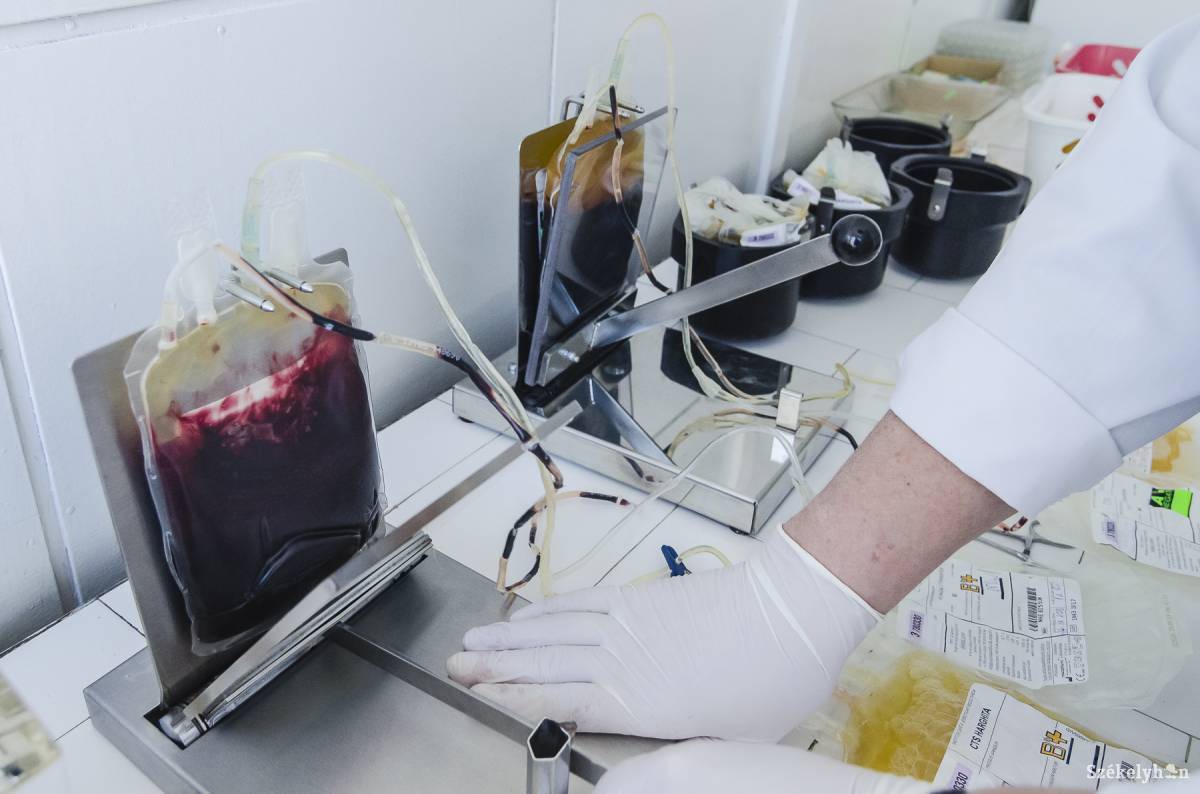 • Fotó: Veres Nándor