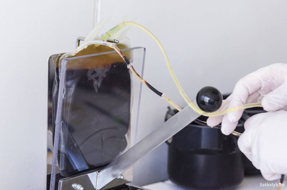 • Fotó: Veres Nándor