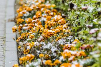 Meddig tart a lehűlés? Íme, a kéthetes előrejelzés