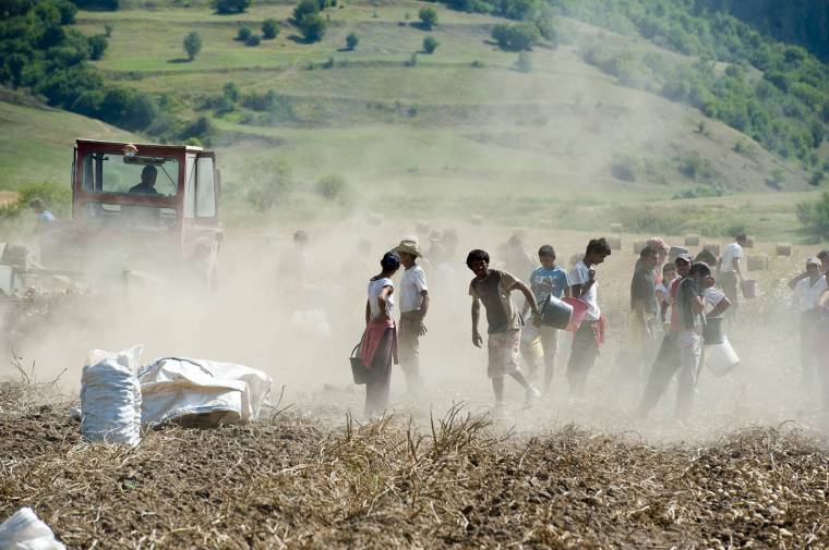 Sokat dolgoztak a napszámosok szeptemberben