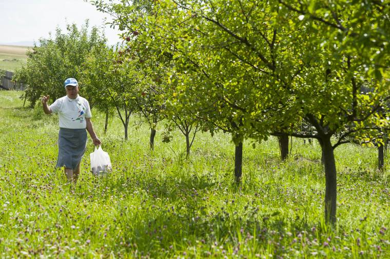 A gyümölcsészeti mozgalomról értekeztek Égében