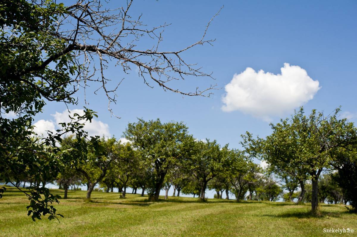 &bullet;  Fotó: Kristó Róbert